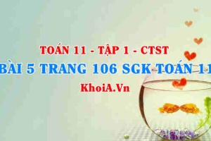 Bài 5 trang 106 SGK Toán 11 Tập 1 Chân trời sáng tạo